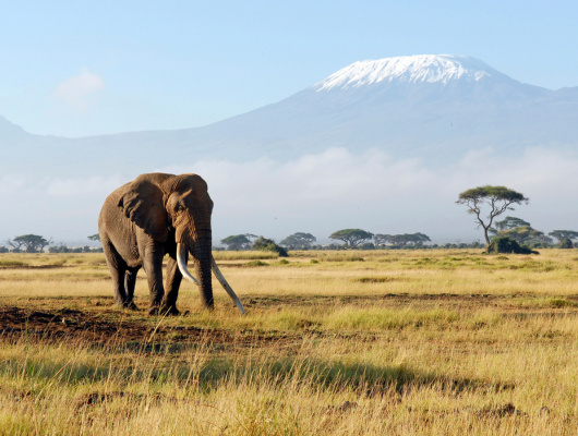 Africa Landscapes
